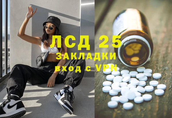 стаф Арсеньев