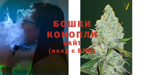 гашик Балахна