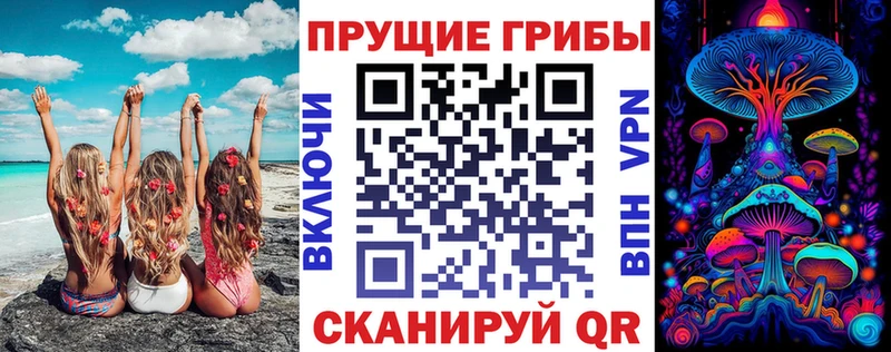 Псилоцибиновые грибы мицелий  Благовещенск 